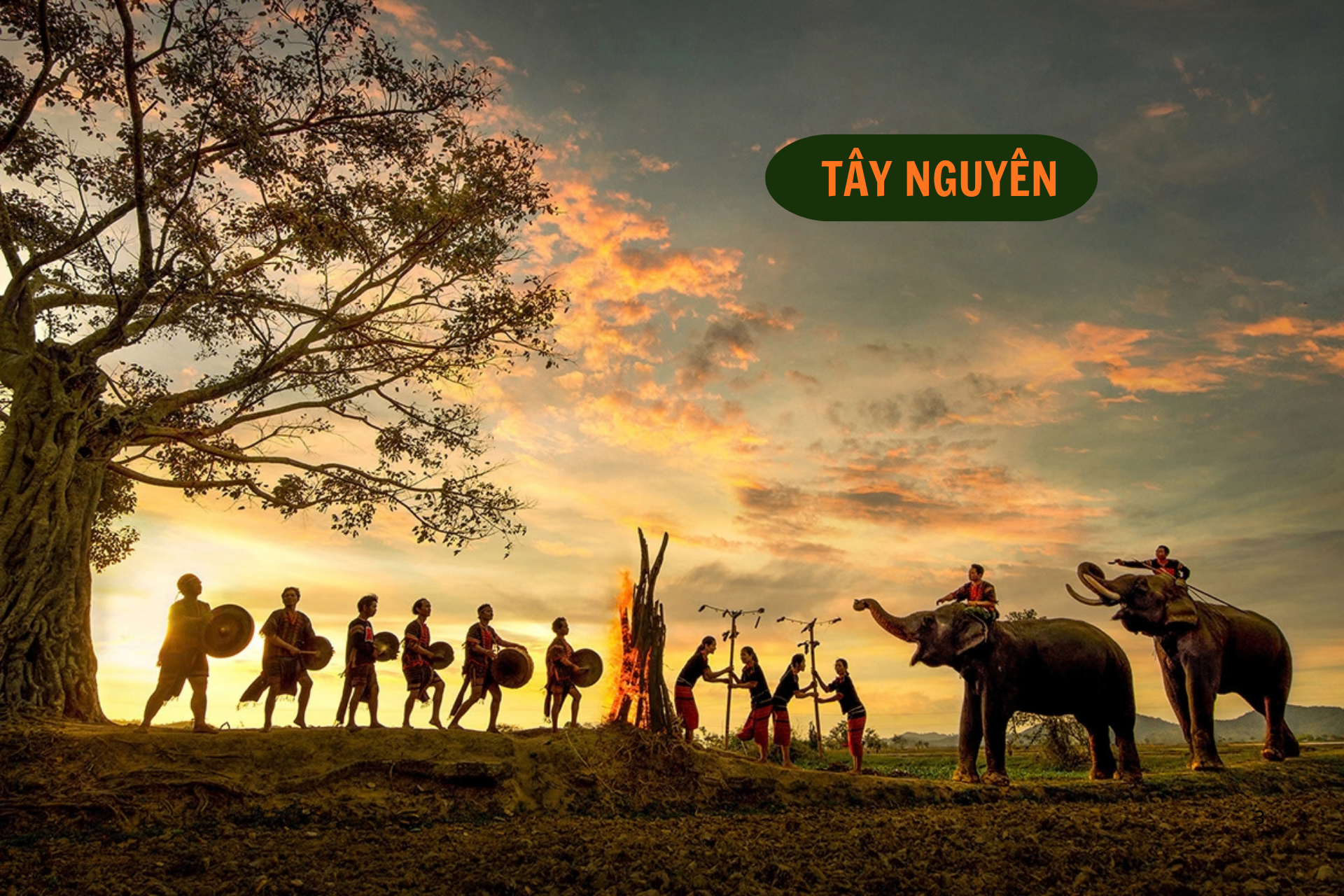 Tour Khám Phá Tây Nguyên Đại Ngàn
