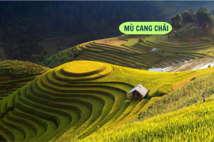 Tour Ghép Cao Cấp Mù Cang Chải