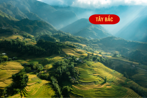 Tour vòng cung TÂY BẮC : Mộc Châu - Sơn La - Điện Biên - Sapa