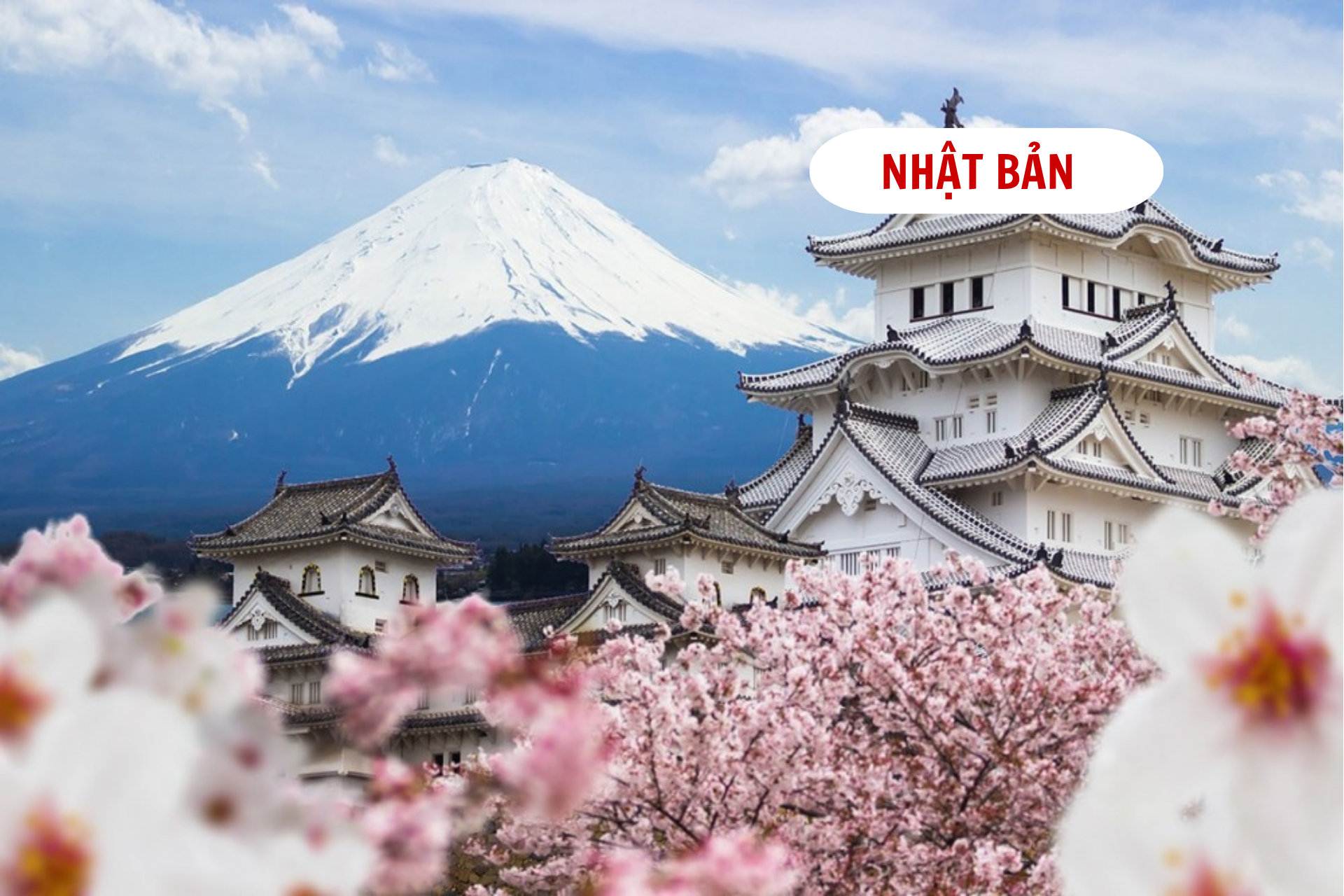 Tour NHẬT BẢN : Phú Sĩ - Oshino Hakkai - Kawaguchiko - Tokyo