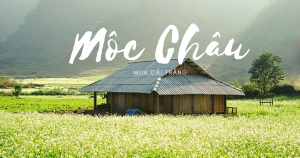 Tour Du Lịch Mộc Châu