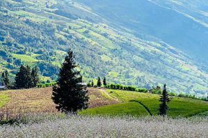 Tour Hà Nội - Bản Phùng - Bắc Hà - Dinh Hoàng A Tưởng