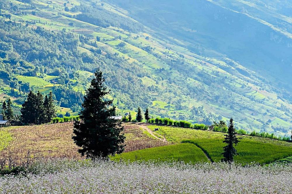 Tour Hà Nội – Bản Phùng – Bắc Hà – Dinh Hoàng A Tưởng